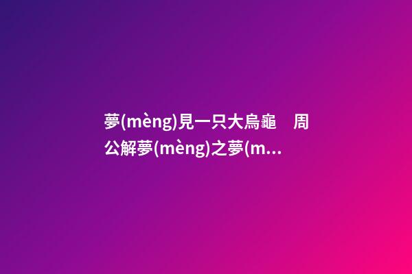 夢(mèng)見一只大烏龜　周公解夢(mèng)之夢(mèng)到一只大烏龜